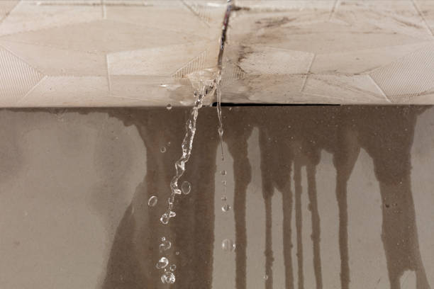 Professional Burst Pipe Cleanup technician working in Pima, AZ